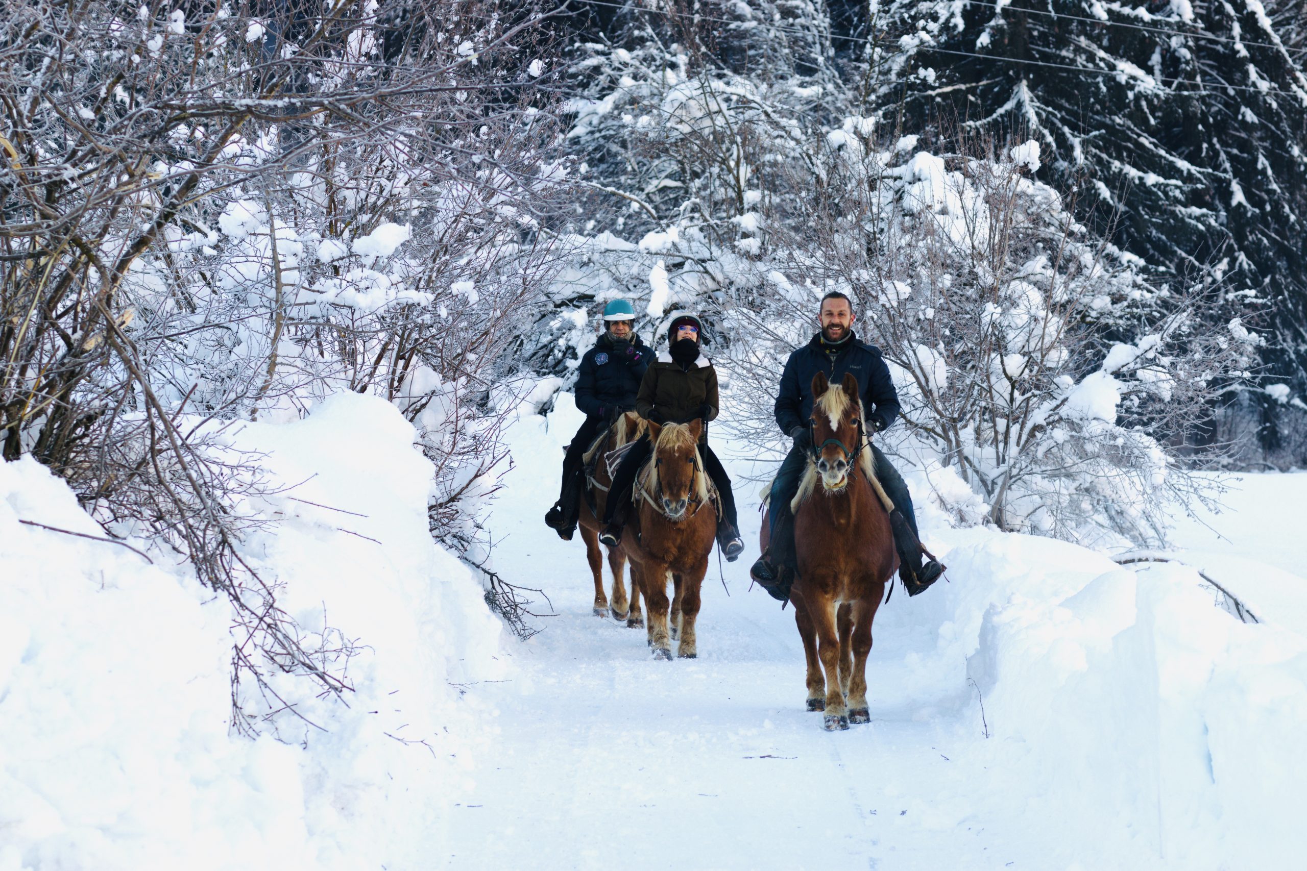 Cavalli Inverno Tenda Cavalli in bosco innevato 